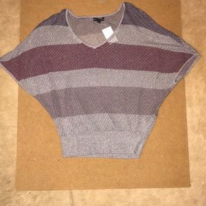 Express  XS. sweater silver sparkle
